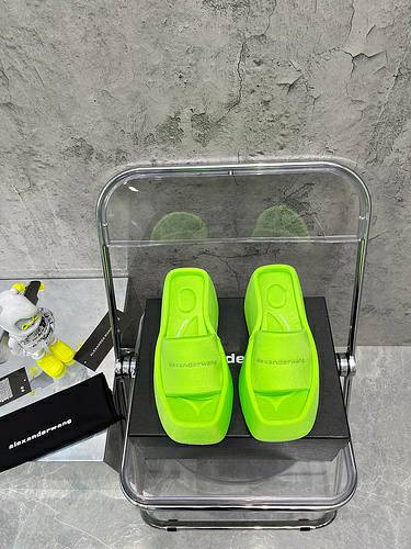 Picture of Alexander Wang Shoes Women _SKUfw115348514fw